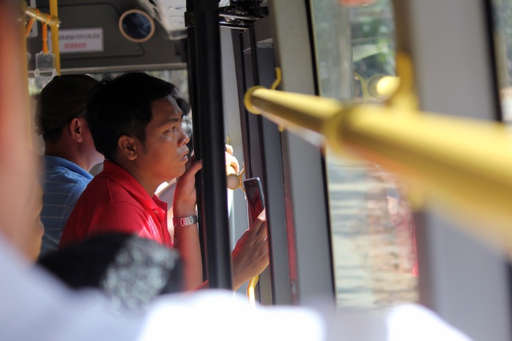 Bengal tigers, rare animals at Vietnam’s first semi-wildlife park - 6 Bengal tigers, rare animals at Vietnam’s first semi-wildlife park - 6