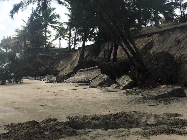 Hoi An seeks government help to protect Cua Dai Beach - 3 Hoi An seeks government help to protect Cua Dai Beach - 3