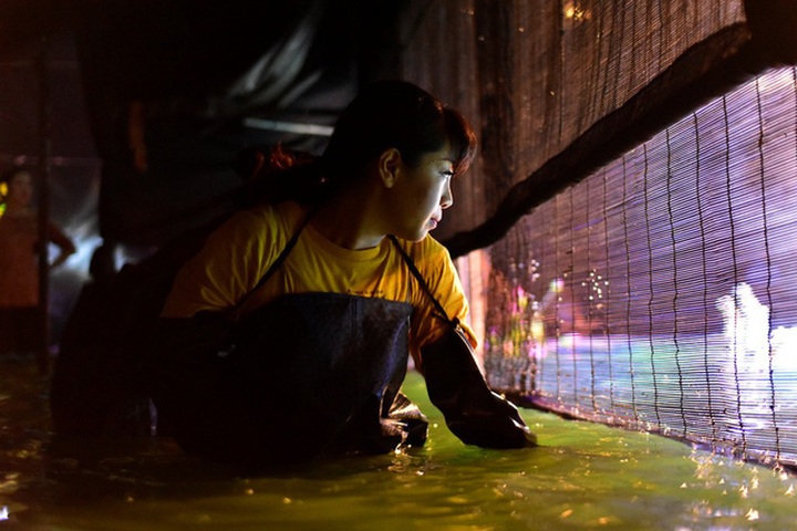 Puppetry festival colours HCM City streets - 2