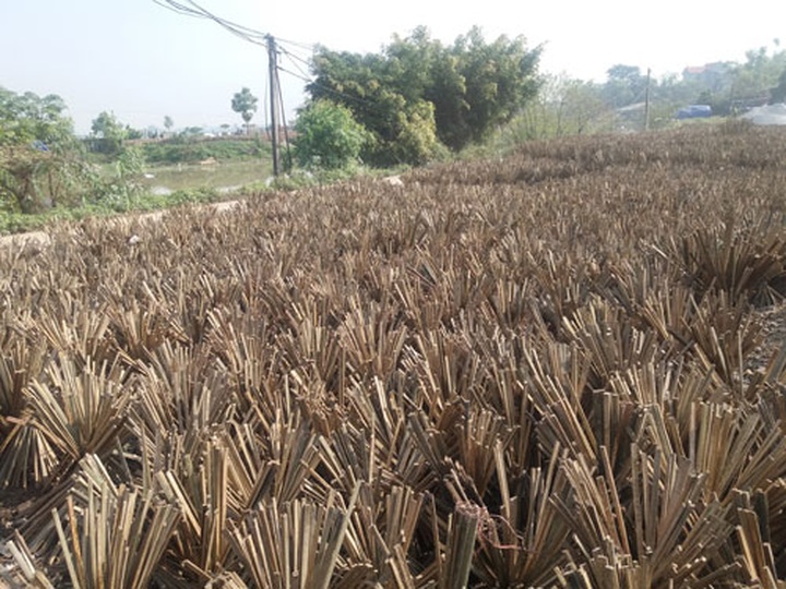 Hanoi incense-making commune busy - 5