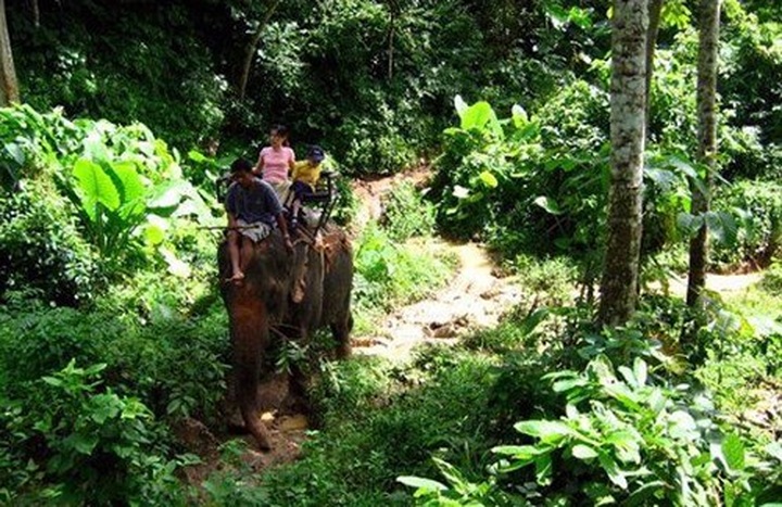 Vietnam’s cyclo among world’s top 30 unique transport modes - 5