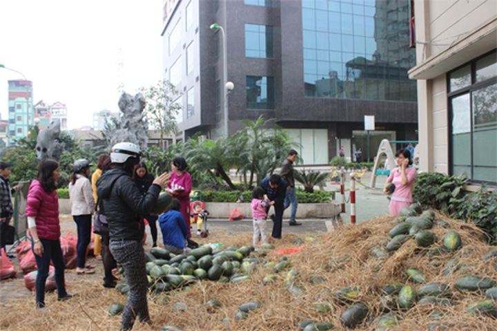People in Hue, Hanoi buy watermelons to help flood-hit farmers - 3