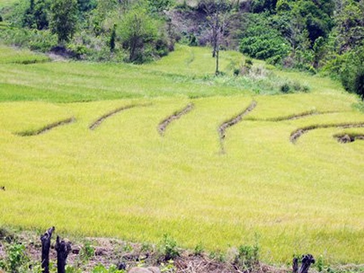 Ia Nhi Waterfall, a sleeping beauty in the jungle - 2