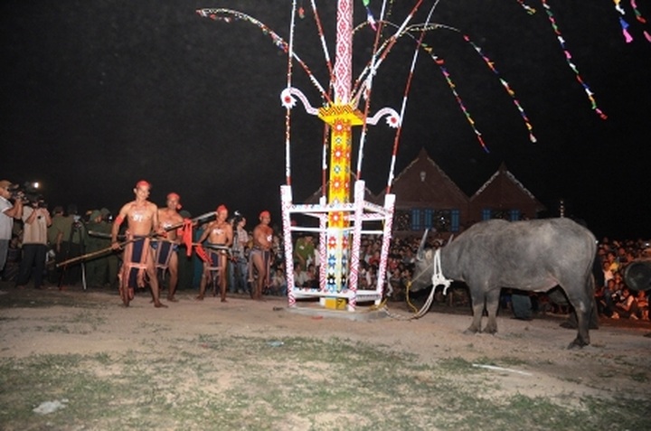 Traditional buffalo stabbing festival in Dak Lak Province - 1