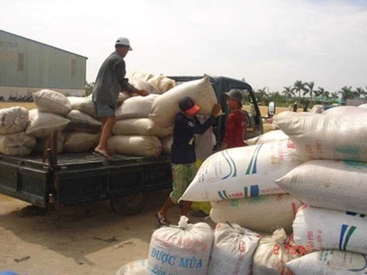 Vietnamese rice exporters facing fierce competition this year - 1