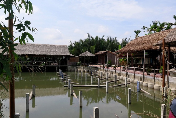 Hoi An coconut grove partially destroyed by tourism services - 1