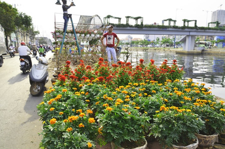 Canals coloured with flowers - 6