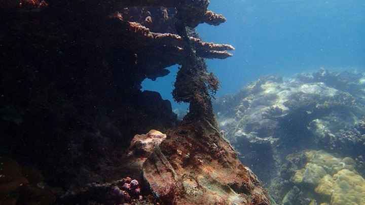 Over-exploitation killing local coastal waters - 2 Over-exploitation killing local coastal waters - 2