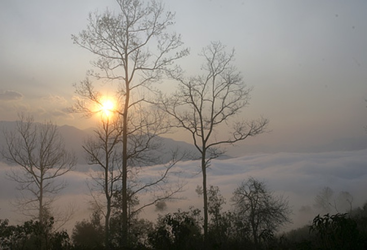 Y Ty "cloud nine" for Valentine visitors - 7