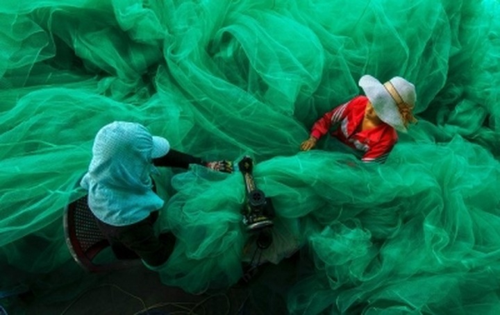 Vietnam wins grand prize in American photo contest - 1