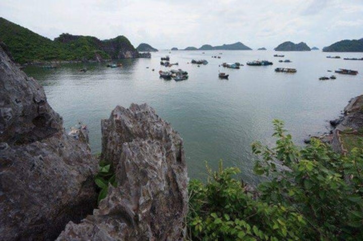 British tourist found dead on Halong Bay boat - 1