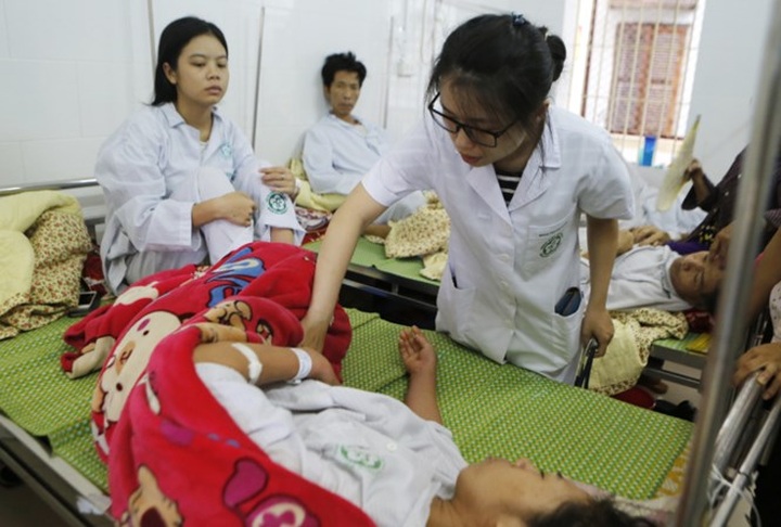 Vietnam to have dengue fever vaccine from next year - 1