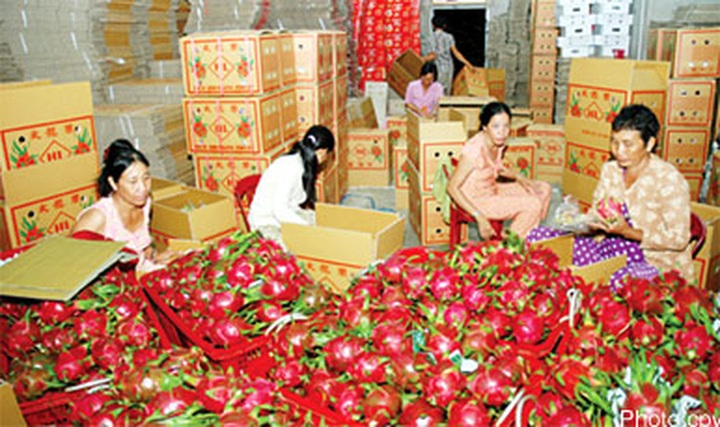 Dragon fruit enters US market - 1