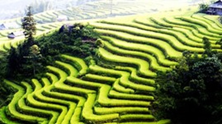 Lao Cai expects one-millionth tourist by October end - 1