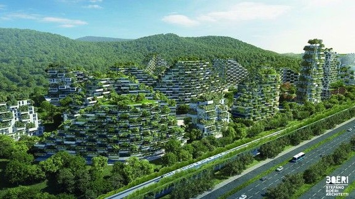 China's verdant 'forest city' will fight pollution with a million plants - 1 China's verdant 'forest city' will fight pollution with a million plants - 1