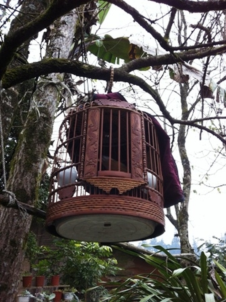 Ornate bird cages from Sapa - 7