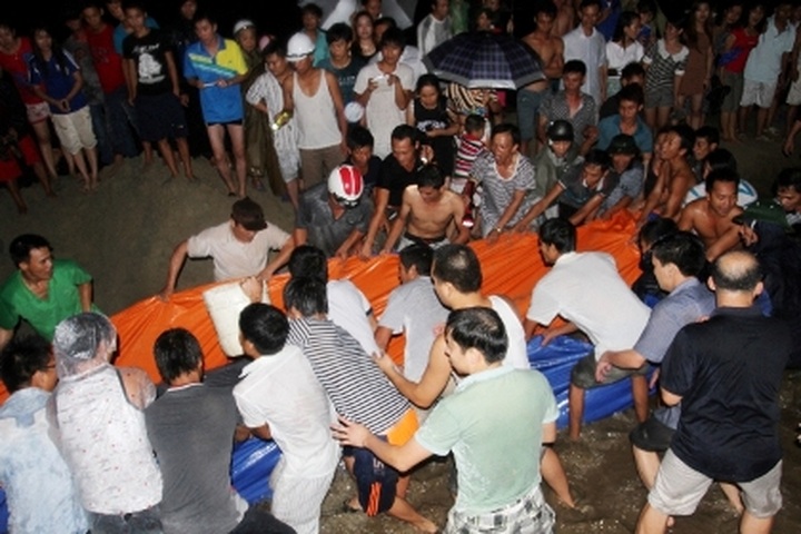 Three-ton whale rescued in Quang Ninh Province - 2 Three-ton whale rescued in Quang Ninh Province - 2