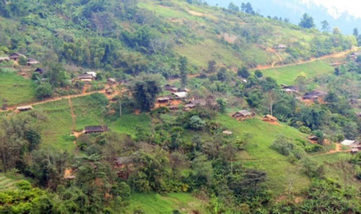 Pupil in Nghe An commits suicide for fear of being punished - 1