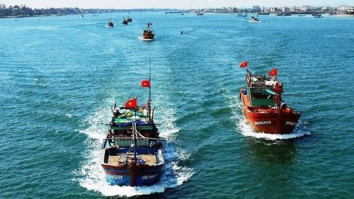 Efforts pledged to remove EC’s "yellow card" on Vietnamese seafood - 1