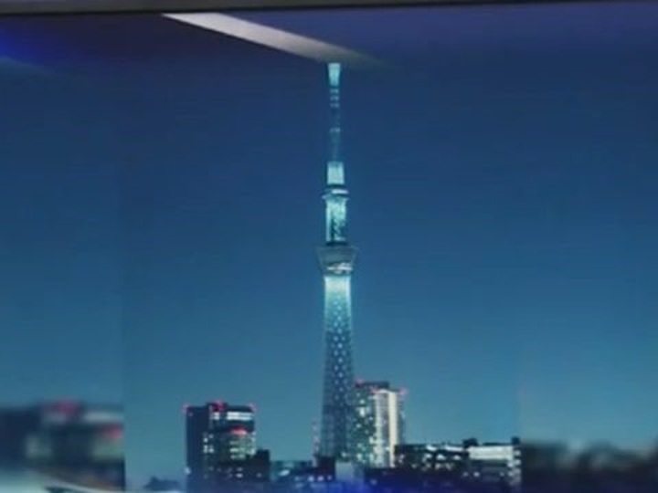 VTV, SCIC withdraw capital from giant tower project - 1