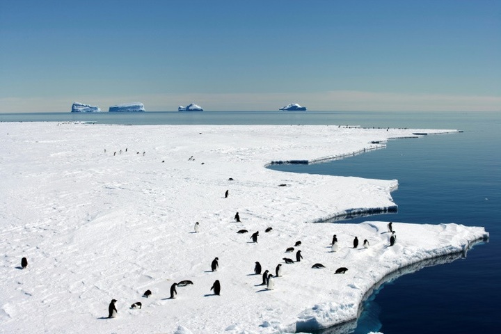 Hopes dashed for giant new Antarctic marine sanctuary - 1
