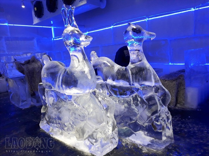 Icy coffee shop proves popular during heat wave - 7