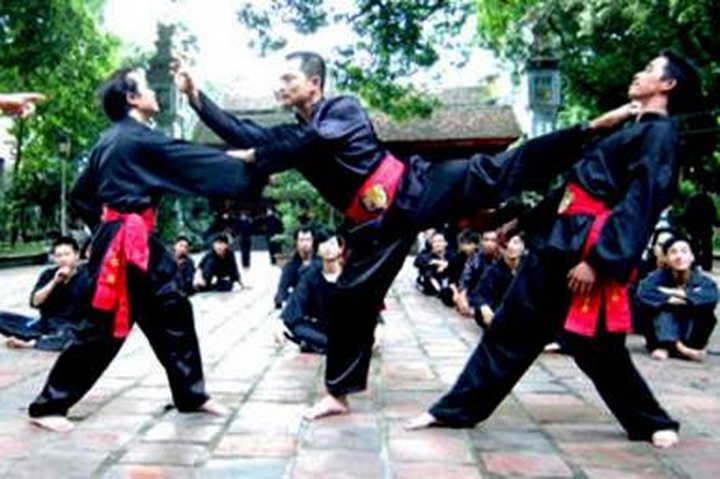 Vietnamese martial arts join world union - 1