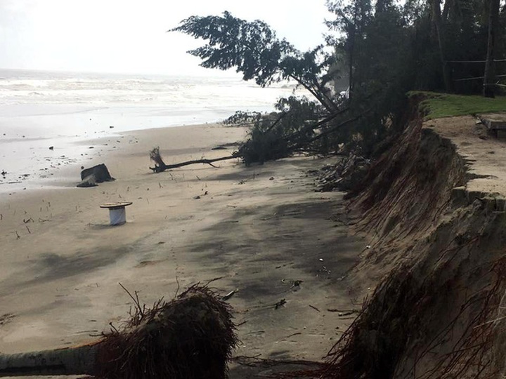 Hoi An seeks government help to protect Cua Dai Beach - 4 Hoi An seeks government help to protect Cua Dai Beach - 4