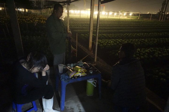 Hanoi flower village sparkles at night - 8