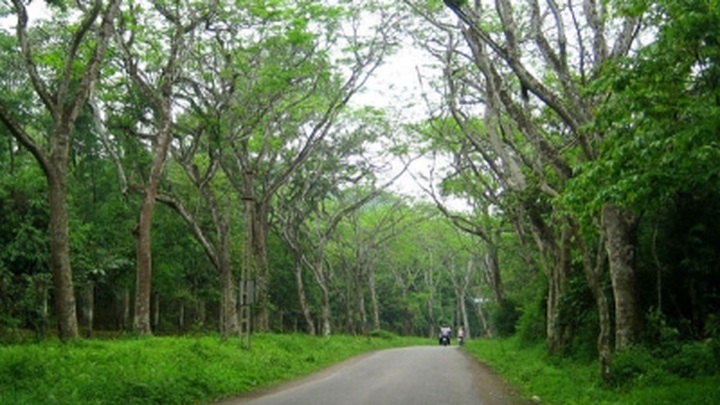 First national wildlife park to be built in Ninh Binh - 1 First national wildlife park to be built in Ninh Binh - 1