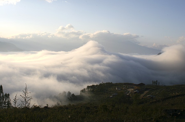 Y Ty "cloud nine" for Valentine visitors - 1