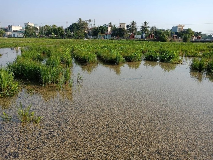 Pollution and fire concerns raised over Thanh Hoa oil spill - 4