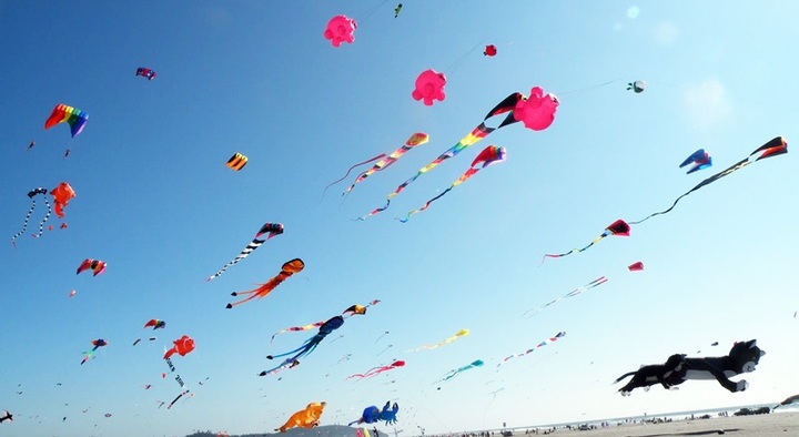 International kite festival kicks off in Quang Nam - 1