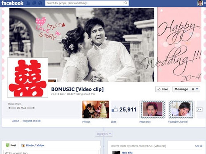 Social networking sites trouble for Vietnamese celebrities - 1