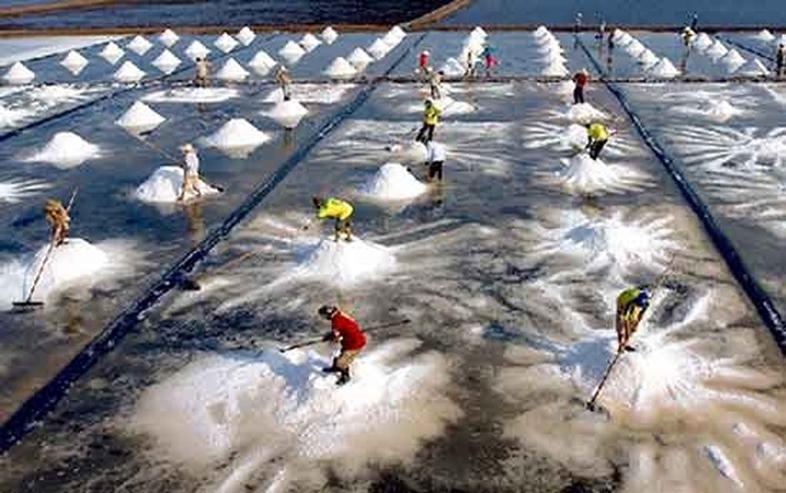 Vietnam wins gold medals at international photo competition - 1