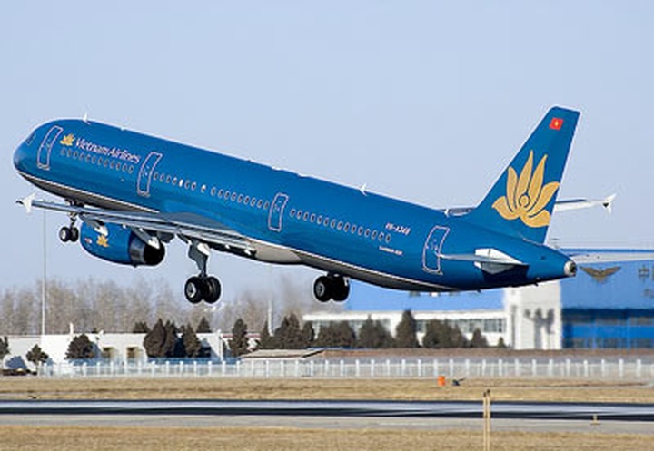 Vietnam Airlines adds more domestic flights for Tet - 1