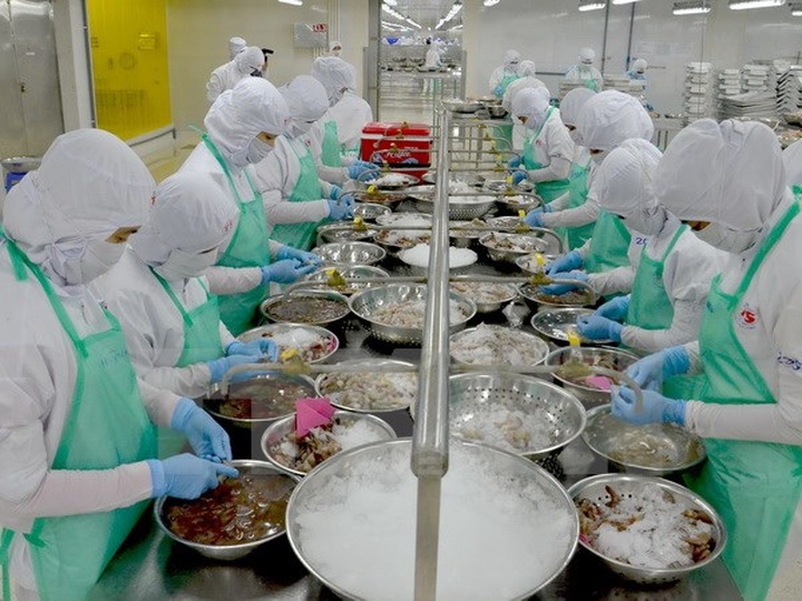 Vietnam runs early warning system of anti-dumping cases - 1