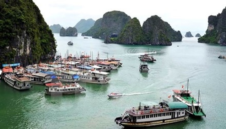 47 tourists saved from leaking boat on Ha Long Bay - 1