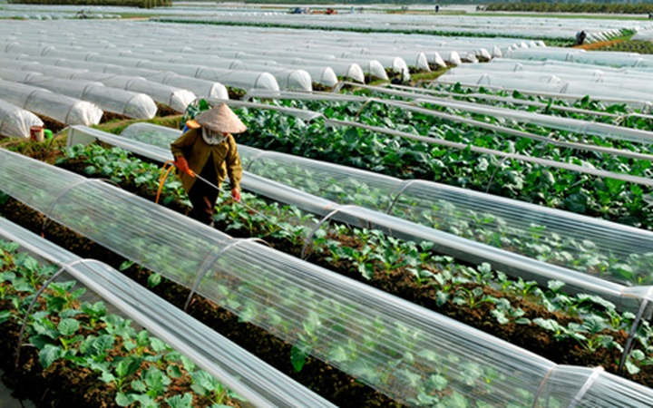 Hanoi’s beauty in focus - 9