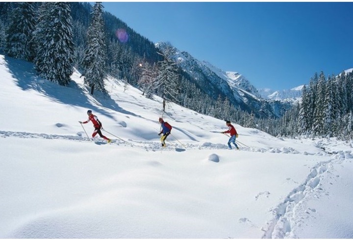 Vietnam to attend Asian Winter Games 2017 - 1