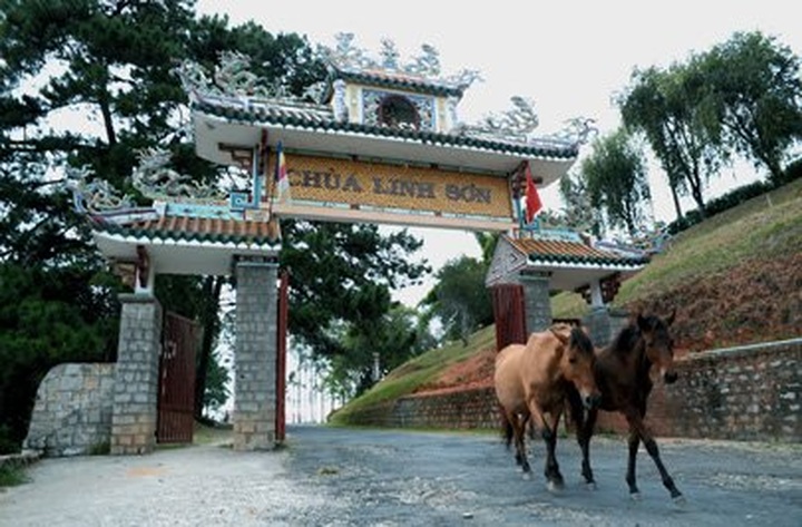 Linh Son Pagoda in Dalat - 1