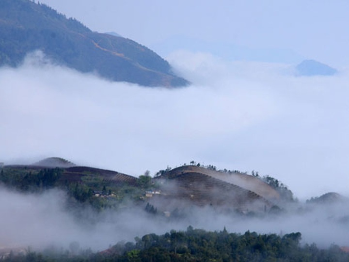 Cloudy Sapa attracts visitors - 9 Cloudy Sapa attracts visitors - 9