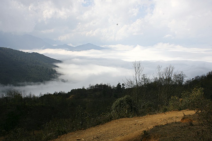 Y Ty "cloud nine" for Valentine visitors - 9