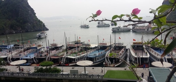 7-16 year-olds enjoy Ha Long Bay discount - 1