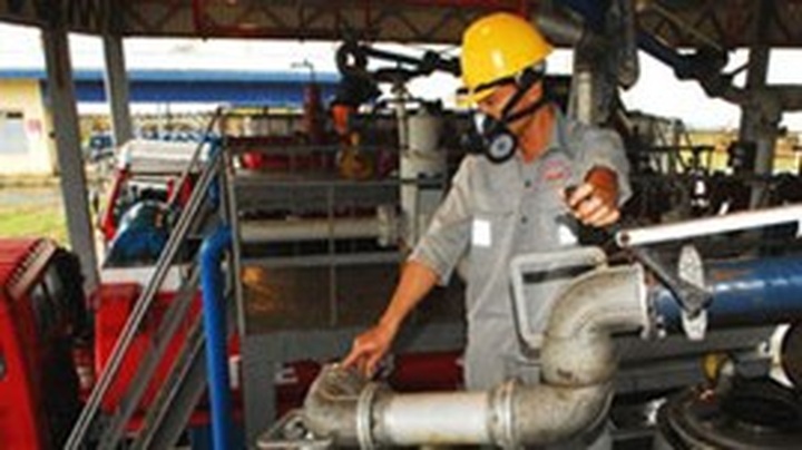 Ministry cuts petroleum imports - 1