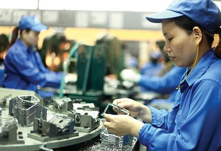 Ministry's fund lends SMEs 29 million USD - 1