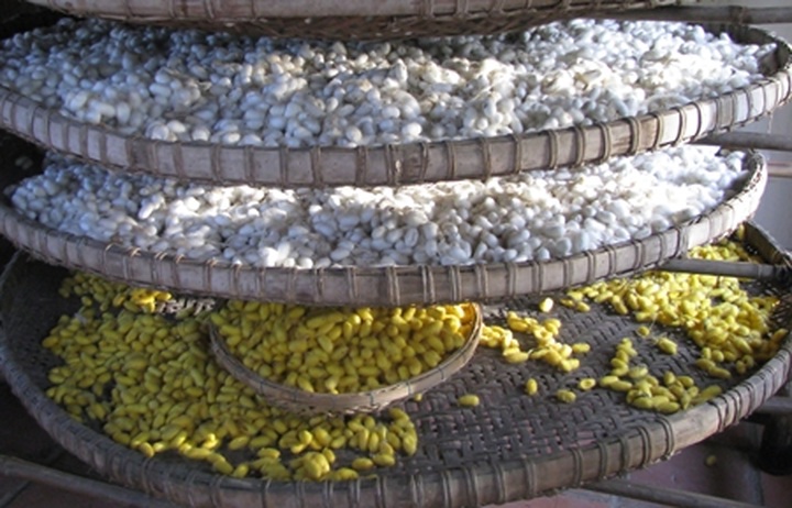 Hoi An's traditional silk village - 2