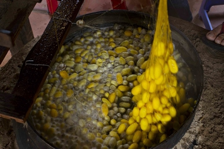 Hoi An's traditional silk village - 6