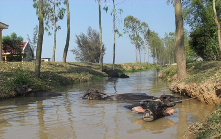 Record high temperatures in Vietnam - 12