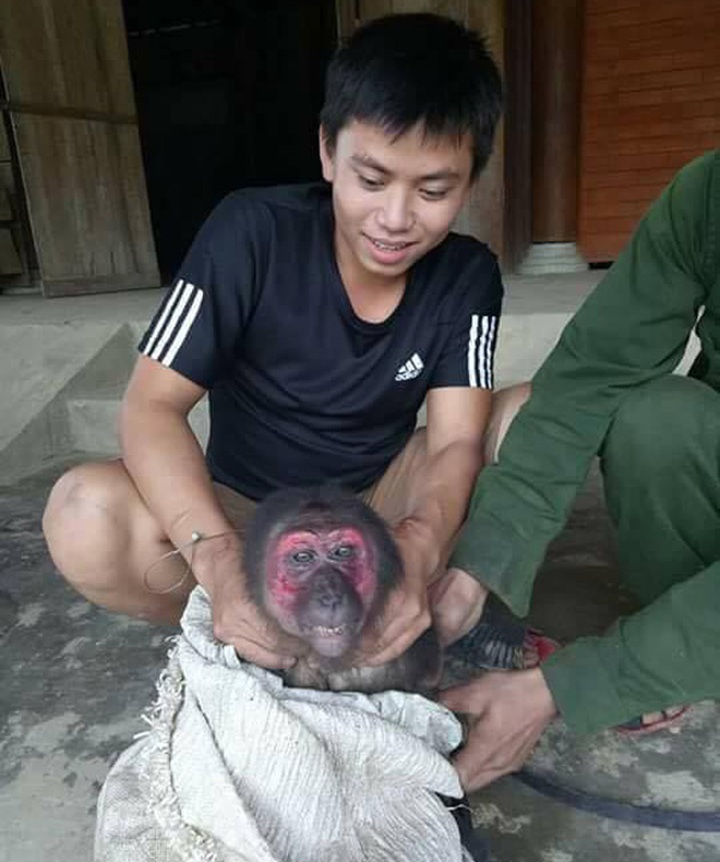 Facebook user investigated for animal cruelty - 2